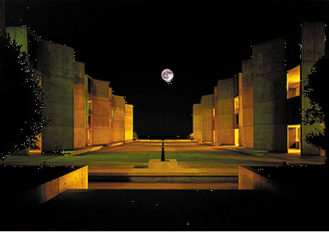 Salk At Night